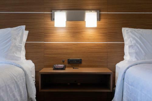 Hotel Holiday Inn Express Johnson City