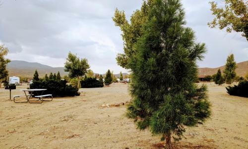 Stagecoach Trails Rv Resort