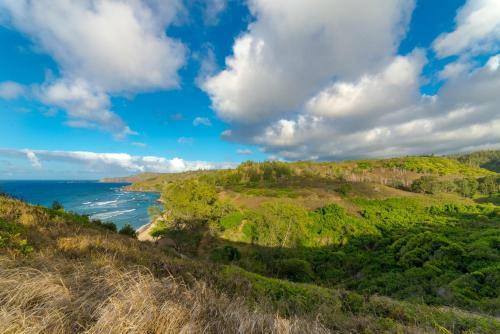 Kaanapali Shores 361