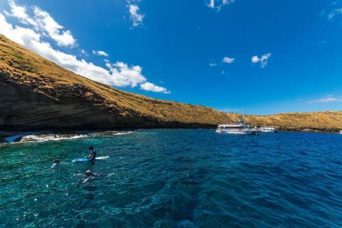 Kaanapali Shores 361