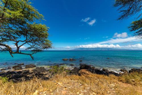 Kaanapali Shores 461