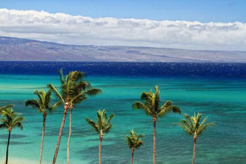 Apartamento New! Updated! Modern, Maui Beachfront With Central A/c Condo