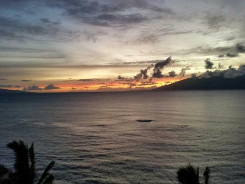Royal Kahana 706
