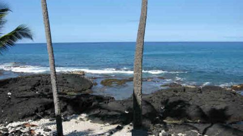 Apartamento Kona Bali Kai 223