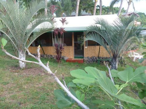 Hostal Banyan Tree Sanctuary Guest House