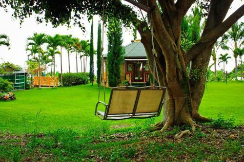 Hostal Banyan Tree Sanctuary Guest House