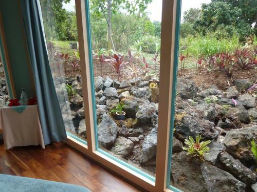 Hostal Banyan Tree Sanctuary Guest House