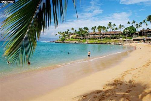 Apartamento Napili Point C-12