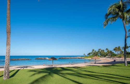 Coconut Plantation 1174-2