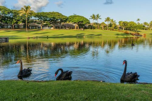 (cl6) Ko'olina Kai Golf Villa