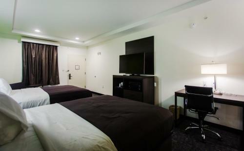 Hotel Palacio Royale Inn Boutique