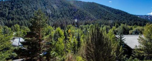 Greyhawk At The Ski Lifts -the Artisan