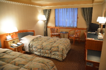 Hotel International