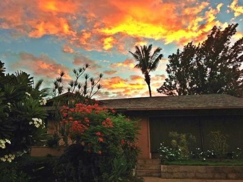 Bed & Breakfast Ocean Breeze Hideaway