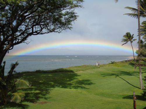Bed & Breakfast Aloha Aku - Honu 2