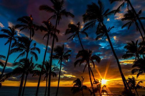 Apartamento Hale Kai O'kihei 311
