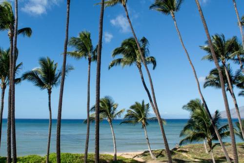 Apartamento Hale Kai O'kihei 310