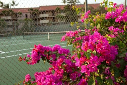 Apartamento Maui Vista 2416 - Two Bedroom Condo