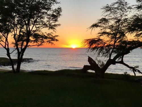 Apartamento Aloha Aku - Honu 1