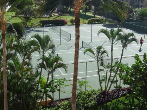 Apartamento Maui Vista #2-418 Condo
