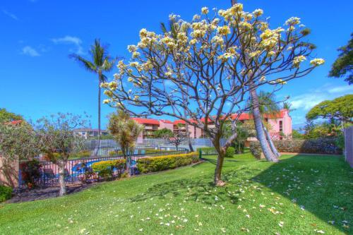Apartamento Maui Vista 2118