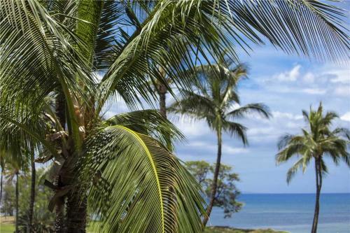 Apartamento Kauhale Makai 411 Condo