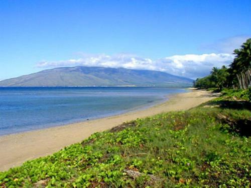 Apartamento Waiohuli Beach Hale #d-127 Condo
