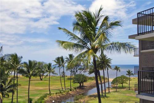 Apartamento Kauhale Makai 527 Condo