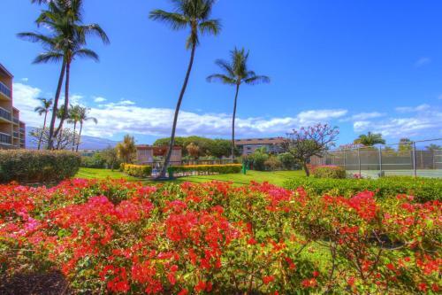 Apartamento Maui Vista 3101