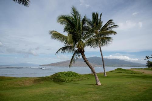 Apartamento Aloha Mai2