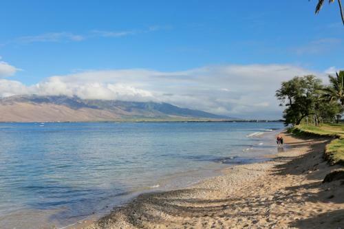Apartamento Maui Sunset #a-103 Condo