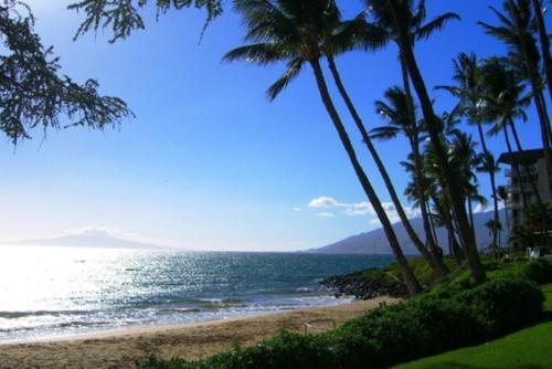 Apartamento Kihei Kai Nani #2-210 Condo