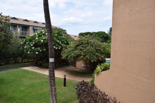 Maui Vista 2204
