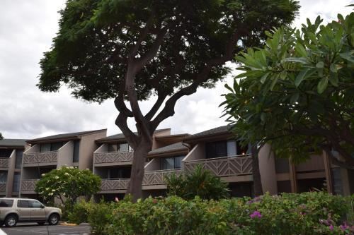 Apartamento Kihei Holiday 116