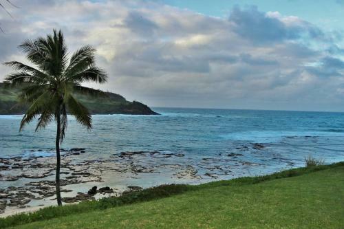 Tranquillity Blue Villa At Moloaa Bay