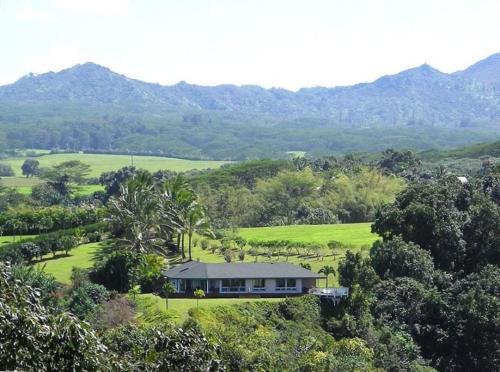 Hale Mana