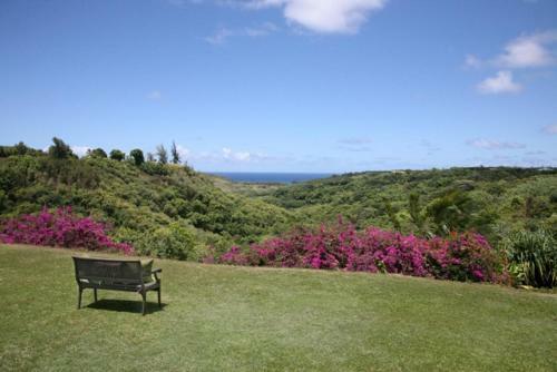 Hale Mana