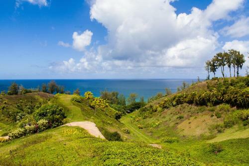 Hale Nanea