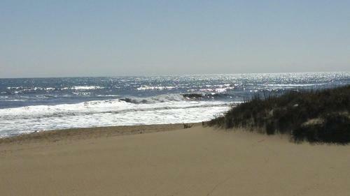 Outer Banks Motor Lodge