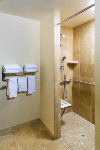 Hotel Hampton Inn & Suites Henderson-saint Rose