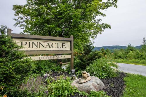 Pinnacle-d8