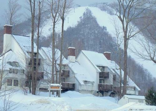 Luxury Trailside Condo - Ski In/out