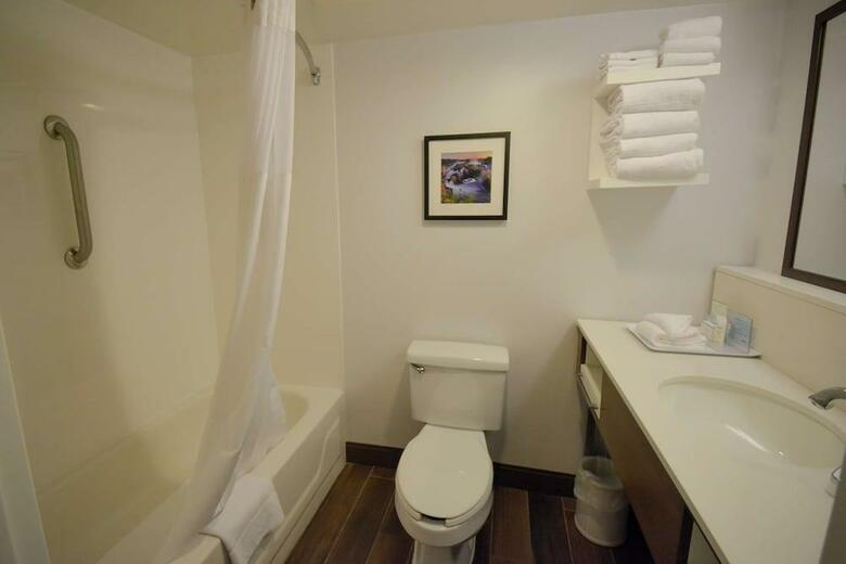 Hotel Hampton Inn Roanoke Salem