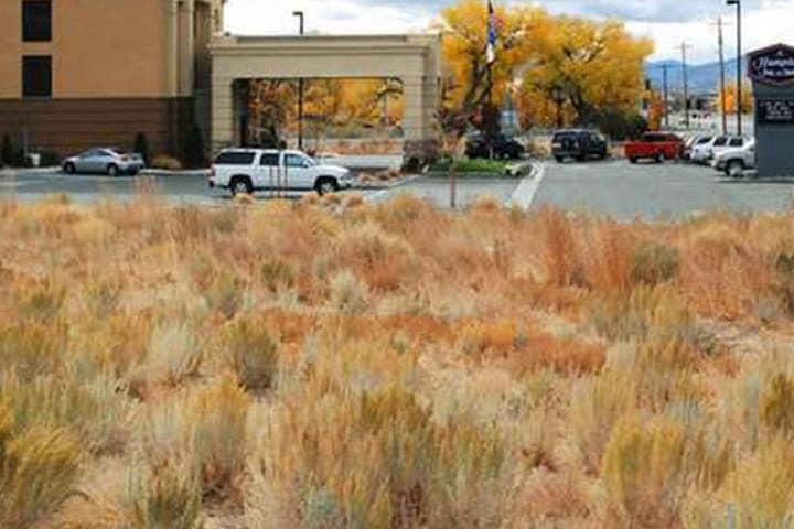 Hotel Hampton Inn & Suites Carson City Nv
