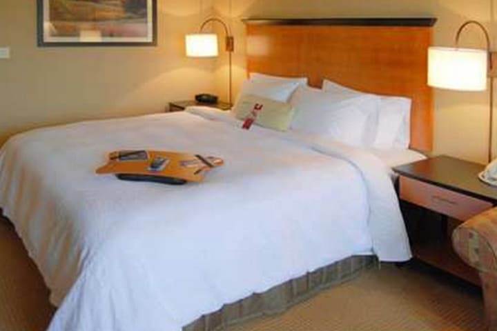 Hotel Hampton Inn & Suites Carson City Nv
