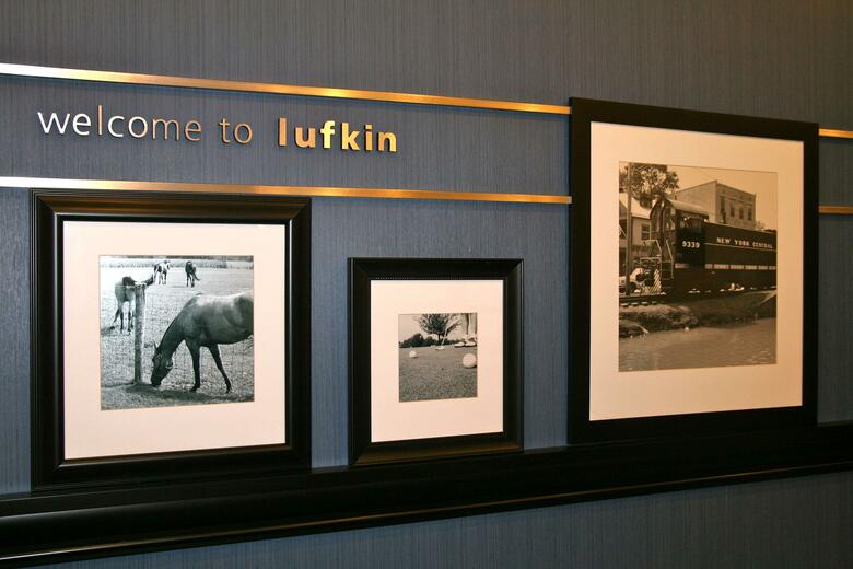 Hotel Hampton Inn & Suites Lufkin Tx