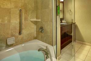 Hotel Hampton Inn Johnson City