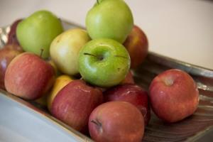 Hotel Hampton Inn Houston-pearland Tx