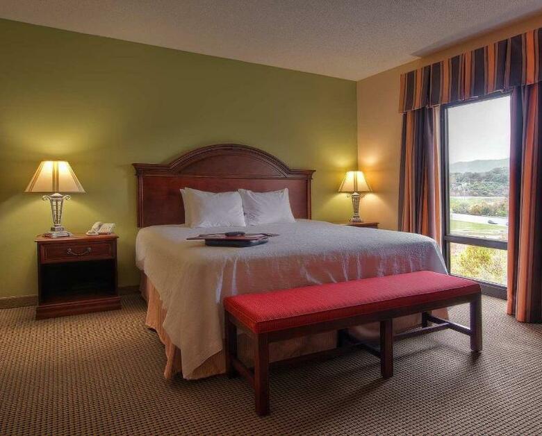 Hotel Hampton Inn Kingsport
