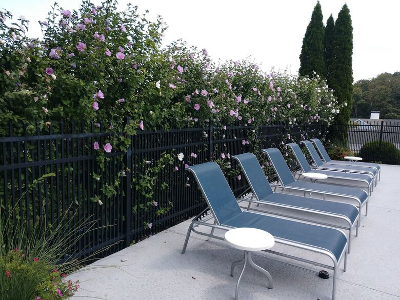 Hotel Best Western Cold Spring